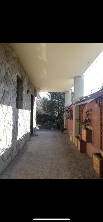 Yellow House Apartment ตูริน ภายนอก รูปภาพ